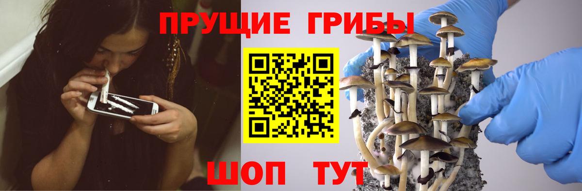 Костомукша  Псилоцибиновые грибы Psilocybe  Галлюциногенные грибы GOLDEN TEACHER  Вход с VPN 